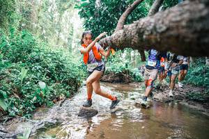 BIB: 
                            <button type="button" onclick="openModal(25373229)" class="btn btn-primary btn-sm float-right btn-popup" data-toggle="modal" data-target=".modal-high-quality">
                        <i class="fas fa-shopping-cart"></i> Add to Cart
                    </button>
                                            <button type="button" onclick="isThisMe(25373229, true)" class="btn btn-success btn-sm float-right btn-popup btn-isme hidden" data-toggle="tooltip" data-placement="bottom" title="นี่คือรูปของคุณใช่ไหม คลิกที่นี่เพื่อเอาเข้าอัลบั้ม">
                        <i class="fas fa-plus"></i> Add to album
                    </button>
                    <button type="button" onclick="isThisMe(25373229, false)" class="btn btn-warning btn-sm float-right btn-popup btn-isnotme hidden">
                        <i class="fas fa-ban"></i> Remove from album
                    </button>